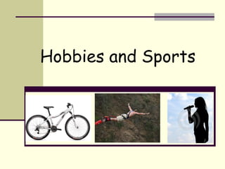 Hobbies and Sports 