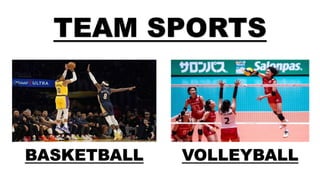 TEAM SPORTS
BASKETBALL VOLLEYBALL
 