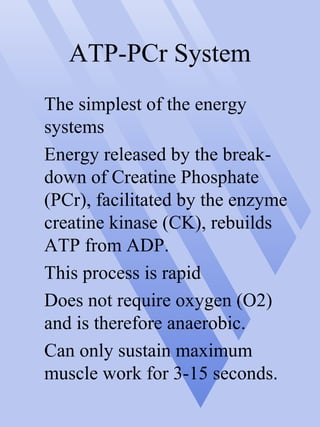 ATP-PCr System
The simplest of the energy
systems
Energy released by the break-
down of Creatine Phosphate
(PCr), facilitated by the enzyme
creatine kinase (CK), rebuilds
ATP from ADP.
This process is rapid
Does not require oxygen (O2)
and is therefore anaerobic.
Can only sustain maximum
muscle work for 3-15 seconds.
 