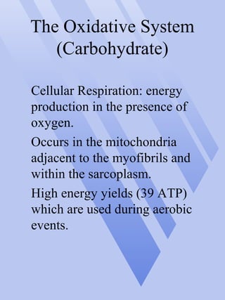 The Oxidative System
(Carbohydrate)
Cellular Respiration: energy
production in the presence of
oxygen.
Occurs in the mitochondria
adjacent to the myofibrils and
within the sarcoplasm.
High energy yields (39 ATP)
which are used during aerobic
events.
 