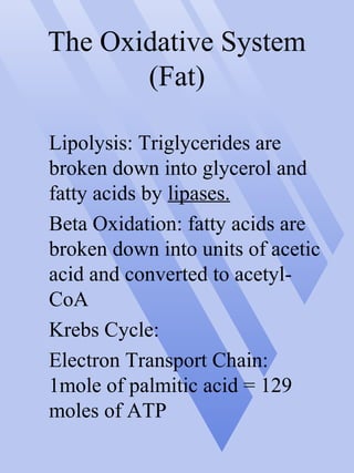 The Oxidative System
(Fat)
Lipolysis: Triglycerides are
broken down into glycerol and
fatty acids by lipases.
Beta Oxidation: fatty acids are
broken down into units of acetic
acid and converted to acetyl-
CoA
Krebs Cycle:
Electron Transport Chain:
1mole of palmitic acid = 129
moles of ATP
 