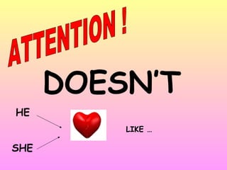 ATTENTION ! DOESN’T HE SHE  LIKE …  