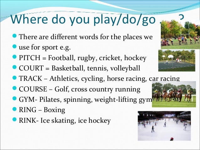 Sports and hobbies Sports and hobbies