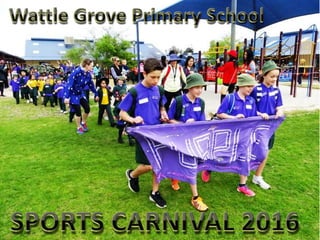 Wattle Grove Primary School - Sports Carnival 2016