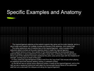 Sports hernia good | PPT | Free Download