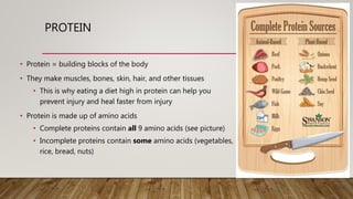 Sports Nutrition (OneNote Assignment) | PPT