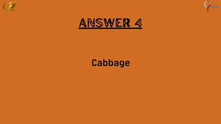 Answer 4
Cabbage
 