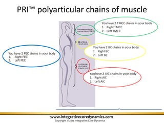 Sports rehab expert_may_2013 | PDF
