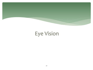 Eye Vision
48
 