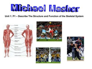 Michael Masher Unit 1: P1 – Describe The Structure and Function of the Skeletal System 