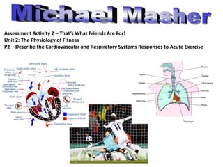 Michael Masher Assessment Activity 2 – That’s What Friends Are For! Unit 2: The Physiology of Fitness P2 – Describe the Cardiovascular and Respiratory Systems Responses to Acute Exercise 