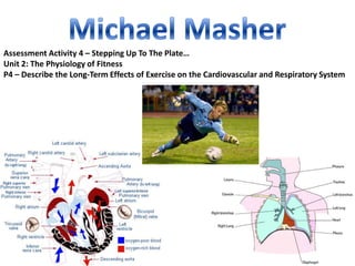 Assessment Activity 4 – Stepping Up To The Plate…
Unit 2: The Physiology of Fitness
P4 – Describe the Long-Term Effects of Exercise on the Cardiovascular and Respiratory System
 