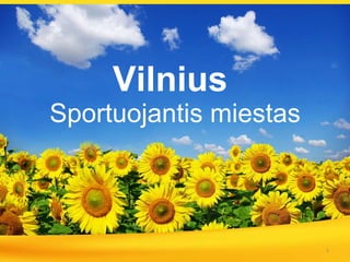 Vilnius   Sportuojantis miestas 