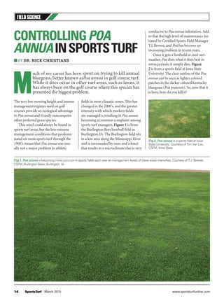 Field Science
14	 SportsTurf | March 2015 www.sportsturfonline.com
The very low mowing height and intense
management regimes used on golf
courses provide an ecological advantage
to Poa annua and it easily outcompetes
other preferred grass species.
This weed could always be found in
sports turf areas,but the less-extreme
management conditions that predomi-
nated on most sports turf through the
1900’s meant that Poa annua was usu-
ally not a major problem in athletic
fields in most climatic zones. This has
changed in the 2000’s, and the greater
intensity with which modern fields
are managed is resulting in Poa annua
becoming a common complaint among
sports turf managers. Figure 1 is from
the Burlington Bees baseball field in
Burlington, IA. The Burlington field sits
in a low area along the Mississippi River
and is surrounded by trees and a fence
that results in a microclimate that is very
conducive to Poa annua infestation.Add
to that the high level of maintenance ini-
tiated by Certified Sports Field Manager
T.J. Brewer, and Poa has become an
increasing problem in recent years.
Once it gets a foothold in cool-wet
weather, Poa does what it does best in
stress periods; it simply dies. Figure
2 is from a sports field at Iowa State
University. The clear outline of the Poa
annua can be seen as lighter colored
patches in the darker colored Kentucky
bluegrass (Poa pratensis). So, now that it
is here, how do you kill it?
ControllingPoa
annuainsportsturf
■ By Dr. Nick Christians
M
uch of my career has been spent on trying to kill annual
bluegrass, better known asPoa annua in golf course turf.
While it does occur in other turf areas, such as lawns, it
has always been on the golf course where this species has
presented the biggest problem.
Fig.1. Poa annua is becoming more common in sports fields each year as management levels of these areas intensifies. Courtesy of T.J. Brewer,
CSFM, Burlington Bees, Burlington, IA.
Fig.2. Poa annua in a sports field at Iowa
State University. Courtesy of Tim Van Loo,
CSFM, Iowa State.
 