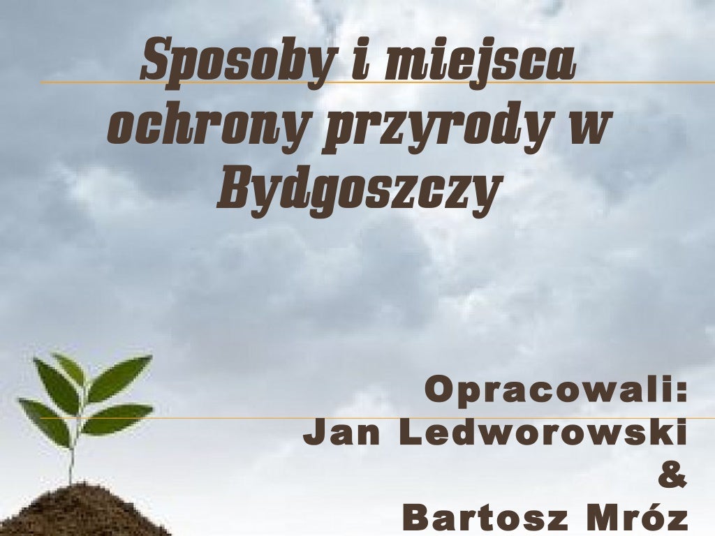 Wyjaśnij Dlaczego Stabilność Ekosystemów Jest Głównym Celem Ochrony Przyrody Sposoby i miejsca ochrony przyrody w bydgoszczy
