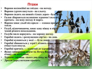 Як купаються на водохреща