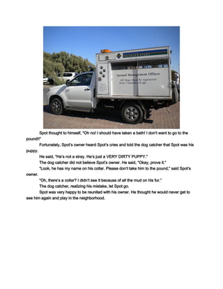 Spot thought to himself, “Oh no! I should have taken a bath! I don’t want to go to the
pound!!”
       Fortunately, Spot’s owner heard Spot’s cries and told the dog catcher that Spot was his
puppy.
       He said, “He’s not a stray. He’s just a VERY DIRTY PUPPY.”
       The dog catcher did not believe Spot’s owner. He said, “Okay, prove it.”
       “Look, he has my name on his collar. Please don’t take him to the pound,” said Spot’s
owner.
       “Oh, there’s a collar? I didn’t see it because of all the mud on his fur.”
       The dog catcher, realizing his mistake, let Spot go.
       Spot was very happy to be reunited with his owner. He thought he would never get to
see him again and play in the neighborhood.
 