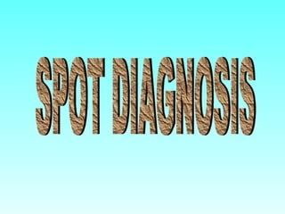 SPOT DIAGNOSIS 