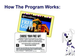 How The Program Works: 