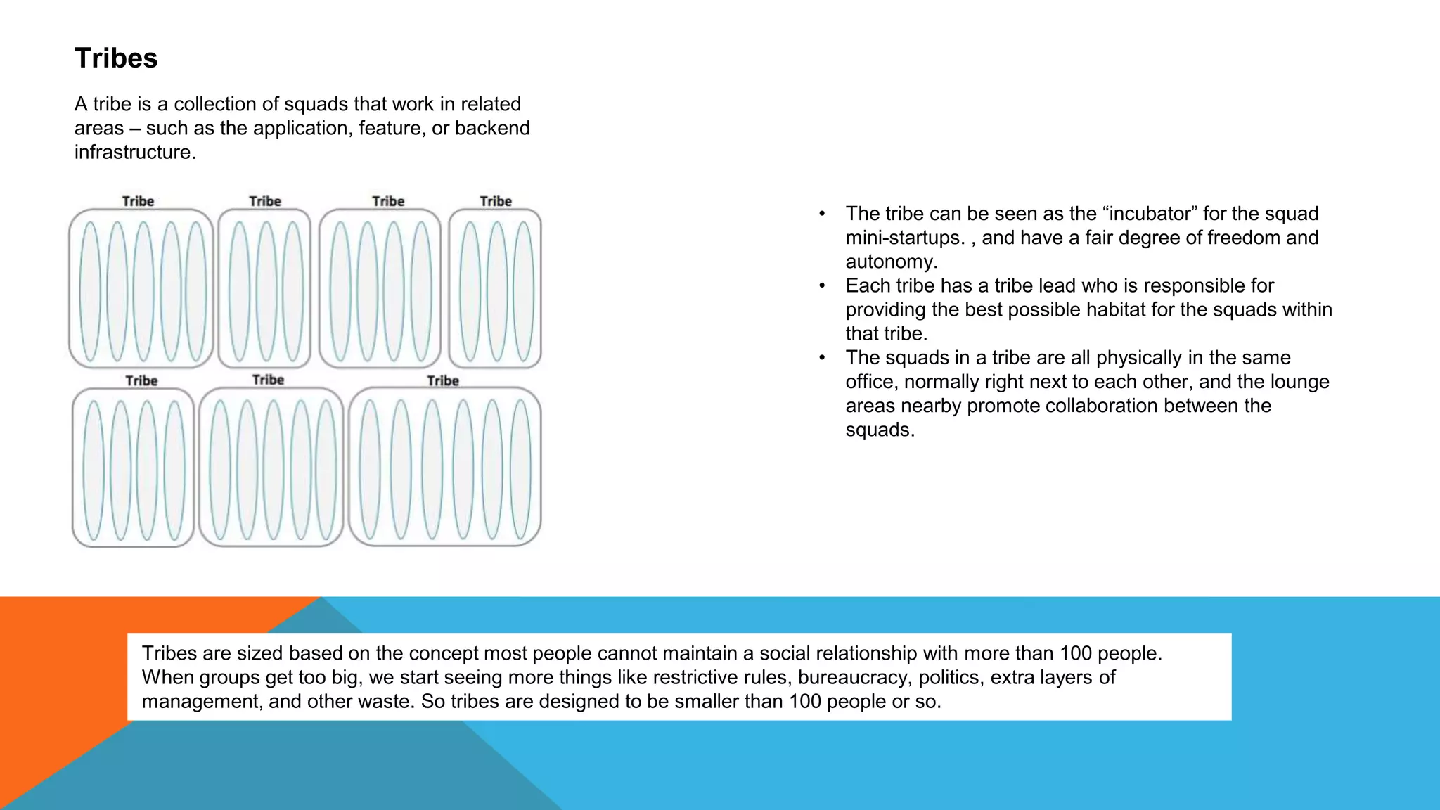 Tribes
A tribe is a collection of squads that work in related
areas – such as the application, feature, or backend
infrastructure.
• The tribe can be seen as the “incubator” for the squad
mini-startups. , and have a fair degree of freedom and
autonomy.
• Each tribe has a tribe lead who is responsible for
providing the best possible habitat for the squads within
that tribe.
• The squads in a tribe are all physically in the same
office, normally right next to each other, and the lounge
areas nearby promote collaboration between the
squads.
Tribes are sized based on the concept most people cannot maintain a social relationship with more than 100 people.
When groups get too big, we start seeing more things like restrictive rules, bureaucracy, politics, extra layers of
management, and other waste. So tribes are designed to be smaller than 100 people or so.
 