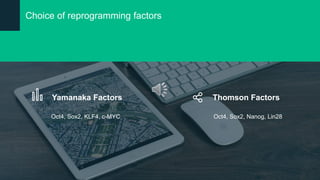 Spotlight on i psc reprogramming | PPT
