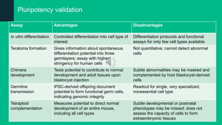 Pluripotency validation
Assay Advantages Disadvantages
In vitro differentiation Controlled differentiation into cell type of
interest
Differentiation protocols and functional
assays for only few cell types available
Teratoma formation Gives information about spontaneous
differentiation potential into three
germlayers; assay with highest
stringency for human cells
Not quantitative; cannot detect abnormal
cells
Chimera
development
Tests potential to contribute to normal
development and adult tissues upon
blastocyst injection
Subtle abnormalities may be masked and
complemented by host blastocyst-derived
cells
Germline
transmission
iPSC-derived offspring document
potential to form functional germ cells,
indicating genomic integrity
Readout for single, very specialized,
nonessential cell type
Tetraploid
complementation
Measures potential to direct normal
development of an entire mouse,
including all cell types
Subtle developmental or postnatal
phenotypes may be missed; does not
assess the capacity of cells to form
extraembryonic tissues
 