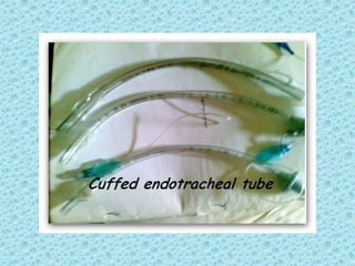 Spots and tubes | PDF
