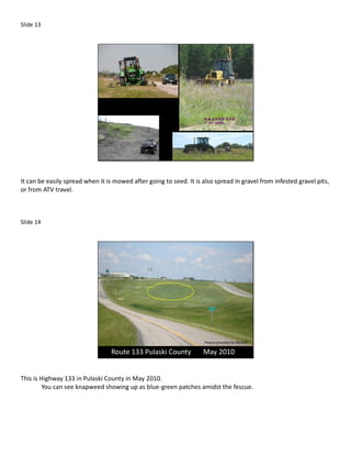 Slide 13




It can be easily spread when it is mowed after going to seed. It is also spread in gravel from infested gravel pits,
or from ATV travel.



Slide 14




                                                                     Photos provided by MoDOT

                                  Route 133 Pulaski County          May 2010


This is Highway 133 in Pulaski County in May 2010.
         You can see knapweed showing up as blue-green patches amidst the fescue.
 