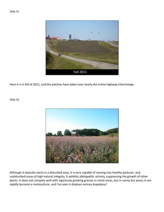 Slide 15




                                                  Fall 2011


Here it is in fall of 2011, and the patches have taken over nearly the entire highway interchange.



Slide 16




Although it typically starts in a disturbed area, it is very capable of moving into healthy pastures and
undisturbed areas of high natural integrity. It exhibits allelopathic activity, suppressing the growth of other
plants. It does not compete well with vigorously growing grasses in moist areas, but in sunny dry areas, it can
rapidly become a monoculture, and I’ve seen it displace sericea lespedeza!
 