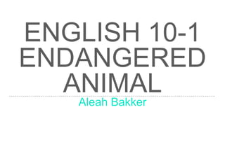 ENGLISH 10-1
ENDANGERED
ANIMAL
Aleah Bakker
 