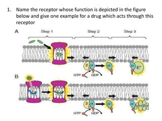 1. Name the receptor whose function is depicted in the figure
below and give one example for a drug which acts through this
receptor
 