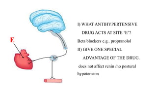 • I) WHAT ANTIHYPERTENSIVE
• DRUG ACTS AT SITE ‘E’?
• Beta blockers e.g.. propranolol
• II) GIVE ONE SPECIAL
• ADVANTAGE O...