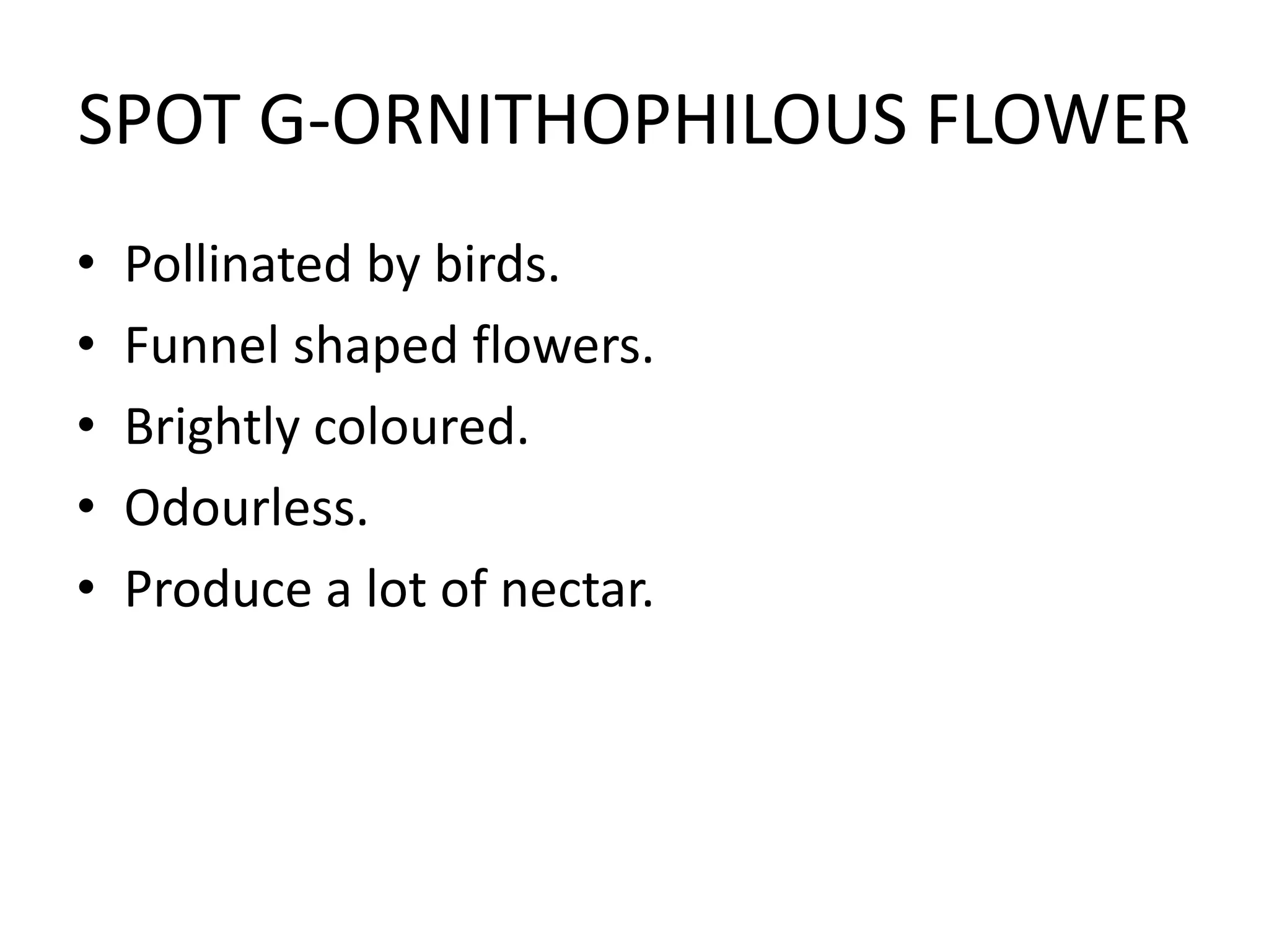 SPOT G-ORNITHOPHILOUS FLOWER
• Pollinated by birds.
• Funnel shaped flowers.
• Brightly coloured.
• Odourless.
• Produce a lot of nectar.
 