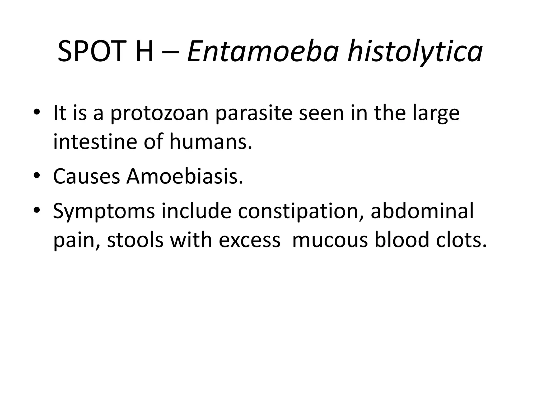 SPOT H – Entamoeba histolytica
• It is a protozoan parasite seen in the large
intestine of humans.
• Causes Amoebiasis.
• Symptoms include constipation, abdominal
pain, stools with excess mucous blood clots.
 