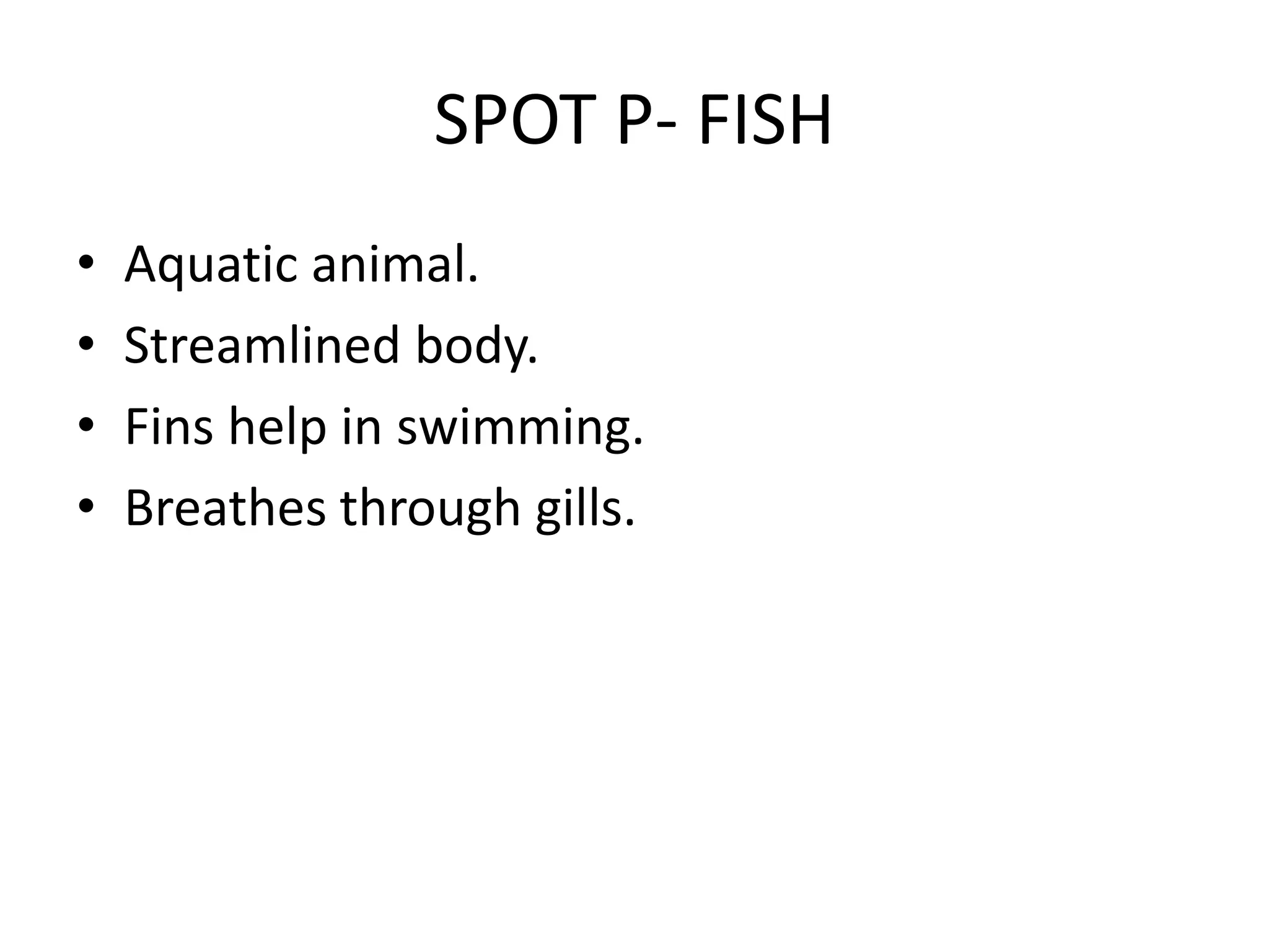 SPOT P- FISH
• Aquatic animal.
• Streamlined body.
• Fins help in swimming.
• Breathes through gills.
 