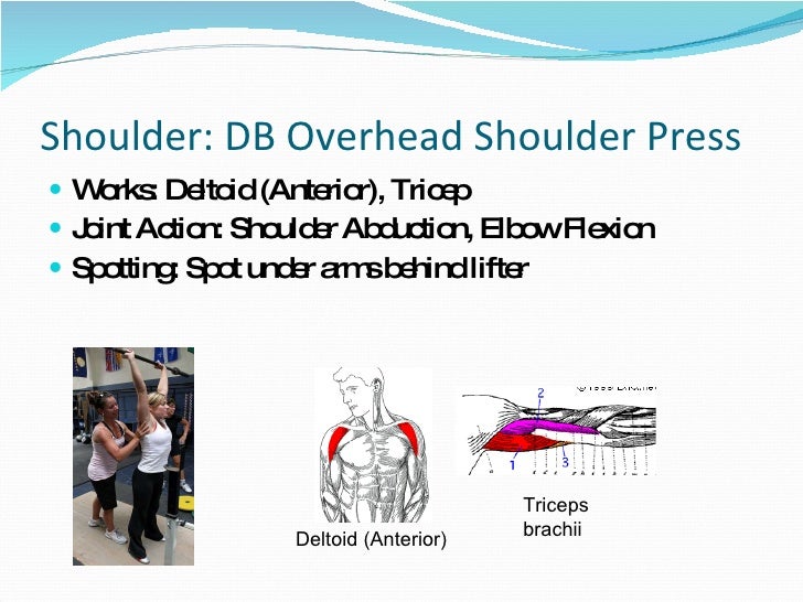 Spotting And Lifting Form
