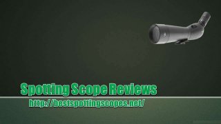 Spotting Scope Reviews