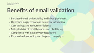 The ultimate guide to email scrubbing | PDF