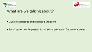 What are we talking about?
• Diverse livelihoods and livelihood situations
• Social protection for pastoralists vs social protection for pastoral areas
 