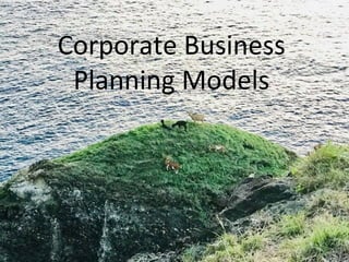 Corporate Business
Planning Models
 