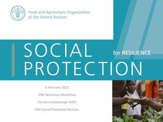 9 February 2015
RNE Resilience Workshop
Christina Dankmeyer (ESP)
FAO Social Protection Division
for RESILIENCE
 