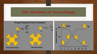 The chemistry of ion exchange
 