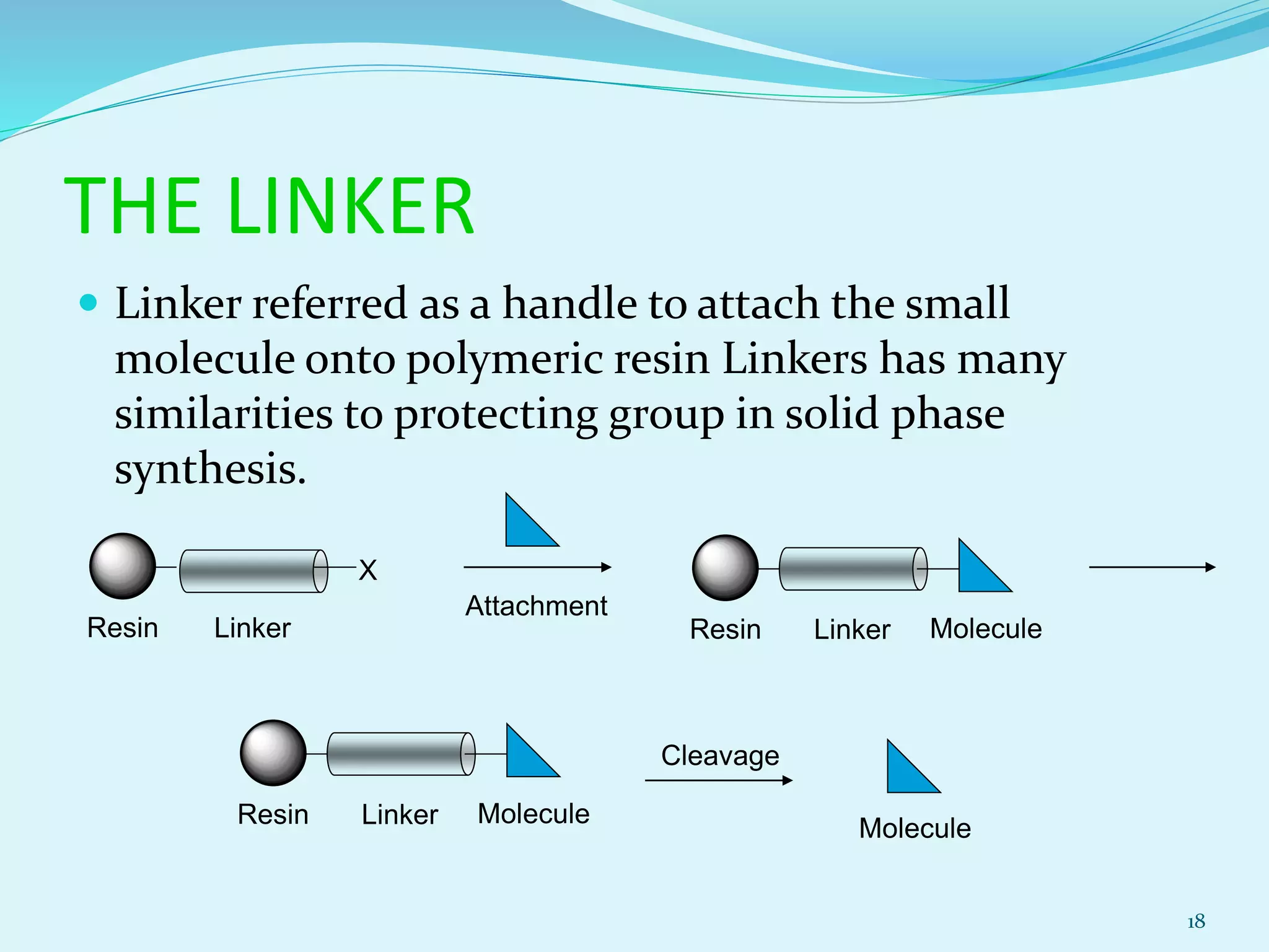 THE LINKER
 Linker referred as a handle to attach the small
molecule onto polymeric resin Linkers has many
similarities to protecting group in solid phase
synthesis.
18
Resin Linker
X
Attachment
Resin Linker Molecule
Resin Linker Molecule
Cleavage
Molecule
 
