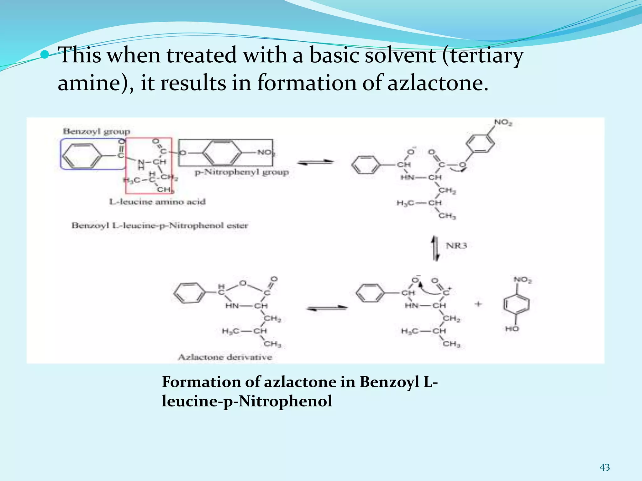  This when treated with a basic solvent (tertiary
amine), it results in formation of azlactone.
43
Formation of azlactone in Benzoyl L-
leucine-p-Nitrophenol
 