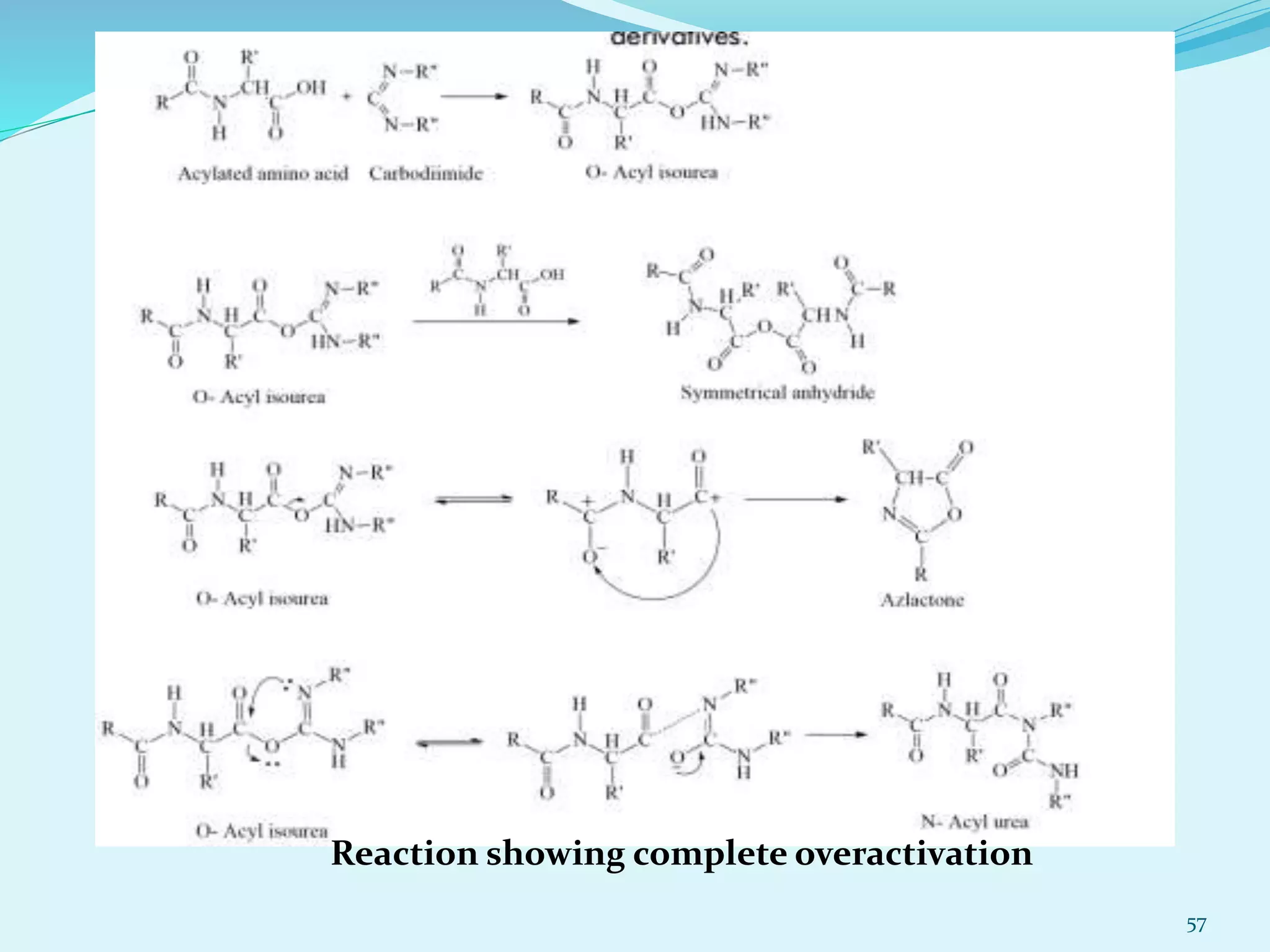 Reaction showing complete overactivation
57
 