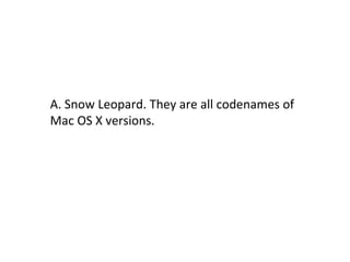 A. Snow Leopard. They are all codenames of Mac OS X versions. 
