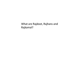 What are Rajdoot, Rajhans and  Rajkamal?