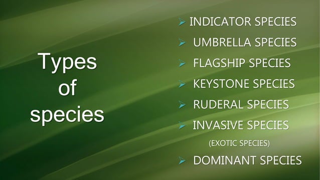 Types of species, umbrella, keystone