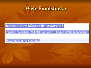 Web-Fundstücke 