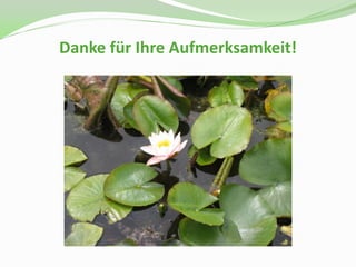 Danke für Ihre Aufmerksamkeit!
 